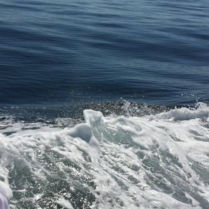 Meet your Posher, Lillian